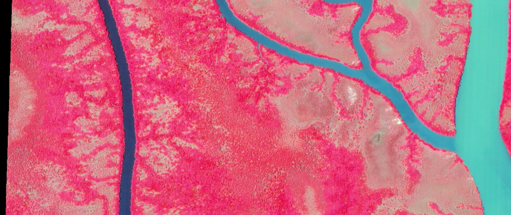 FIGURES 3-4. Mahajamba, Madagascar on April 9, 2014, with Figure 3 shown in color infrared